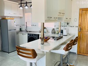 1 Bed Apartment in Pioneer Park