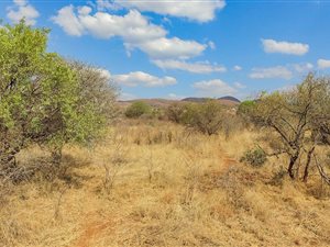 939 m² Land available in Seasons Lifestyle Estate