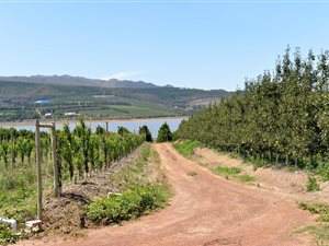 60.4 ha Farm in Caledon