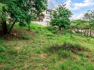 431 m² Land available in Murrayfield