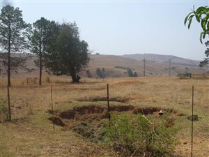 250 ha Farm in Lydenburg
