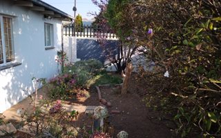 1 Bedroom Garden Cottage in Orange Grove