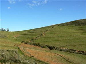 60 ha Farm in Malmesbury