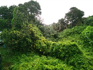 1707 m² Land available in Westbrook
