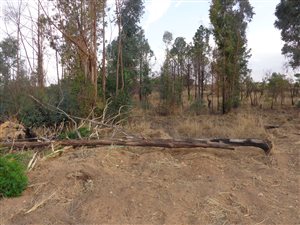 1342 m² Land available in Roodeplaat