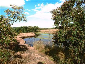 171 ha Farm in Mookgophong (Naboomspruit)