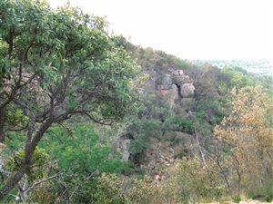 171 ha Farm in Mookgophong (Naboomspruit)