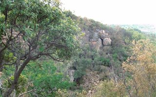 171 ha Farm in Mookgophong (Naboomspruit)