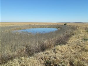 448.5 ha Farm in Ventersburg