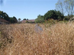 740 m² Land available in Graskop
