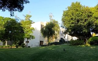 1 Bedroom Apartment in Morningside