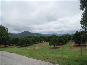 112 ha Farm in Karino