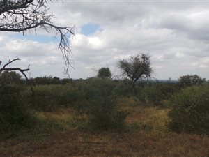 8 ha Farm in Bela-Bela (Warmbaths)