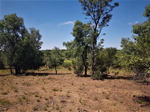 1256 m² Land available in Koro Creek Golf Estate