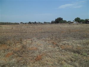 2 ha Farm in Delmas