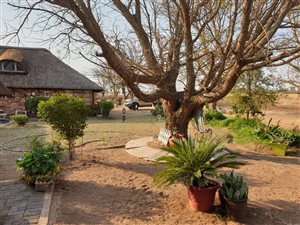 21.6 ha Farm in Honingnestkrans