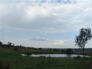 550 m² Land available in Mnandi AH
