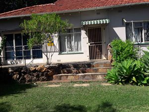 31 Bed House in Sunnyside