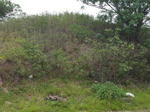 706 m² Land available in Shallcross