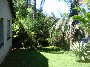 3 Bedroom House in Modjadjiskloof