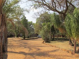 8.5 ha Farm in Bultfontein AH