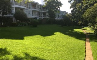 1 Bedroom Apartment in Hyde Park