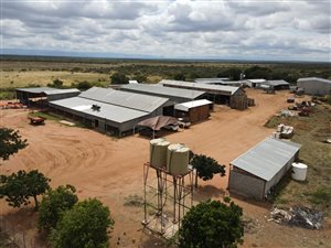 1222.7 ha Farm in Dendron