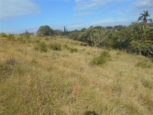 1776 m² Land available in Hibberdene
