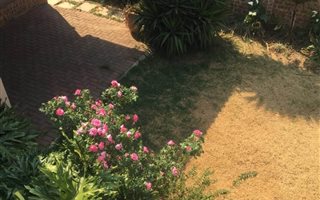 3 Bedroom Cluster in Bardene