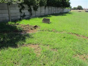1260 m² Land available in Riversdale