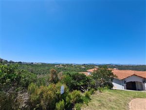 1632 m² Land available in Schoongezicht