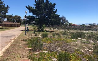 294 m² Land available in Albertinia