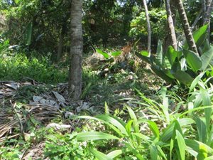 1060 m² Land available in Marina Beach