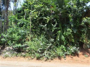 1060 m² Land available in Marina Beach