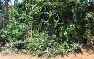 1060 m² Land available in Marina Beach
