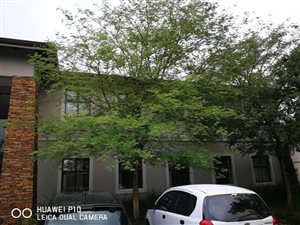 Office space in Kloof