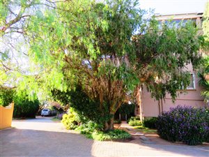 2 Bed Flat in Deneysville