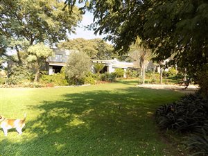 4.6 ha Farm in Boschkop
