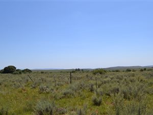 2.6 ha Land available in Sterkfontein and surrounds