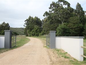 240 ha Farm in Plettenberg Bay