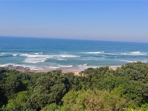 5 Bed House in Zinkwazi Beach