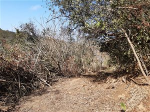 9181 m² Land available in Marburg