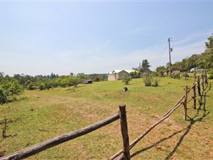 3.2 ha Farm in Rheenendal