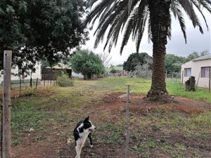 745 m² Land available in Kirkwood