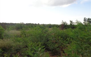 319 m² Land available in Mooikloof Country Residences