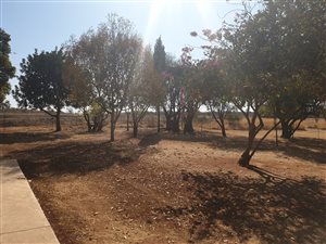 Smallholding in Cullinan