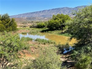 497 ha Farm in Ladismith