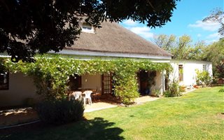 4 Bedroom House in Napier