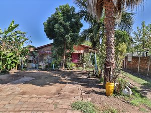 3 Bed House in Wolmer