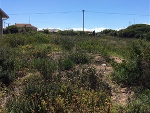734 m² Land available in Reebok